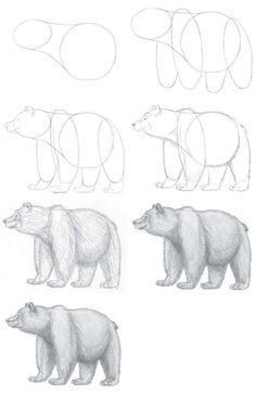 four different bears are shown in this drawing