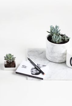 a white table topped with a plant next to a book