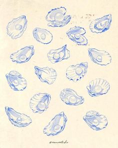 blue ink drawings of seashells on white paper