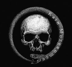 a skull and snake in a circle on a black background