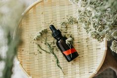 an orange and black bottle sitting on top of a table next to some green plants