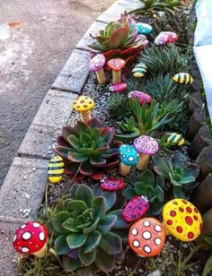 an assortment of colorful rocks and succulents on the ground