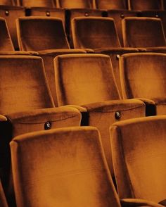 rows of empty seats in an auditorium or theater, with no people sitting on them