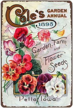 an advertisement for cole's garden annual featuring flowers and seed catalogs from the early 1900's