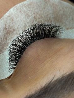 Lash Pictures, Eye Lash Design, Eye Lash Photography, Best False Eyelashes, Esthetician Marketing, Tech Aesthetic, Eyelash Extensions Styles, Lashes Logo