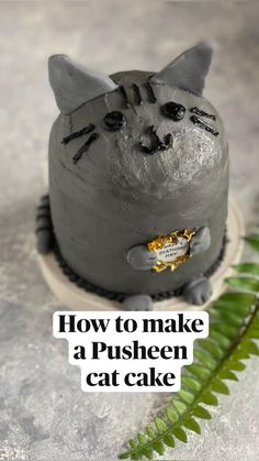 a cat cake with the words how to make a pusheen cat cake on it