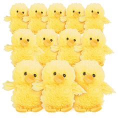 a bunch of little yellow chicks sitting next to each other