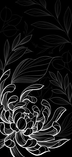 a black and white drawing of a flower on a dark background, with leaves in the foreground