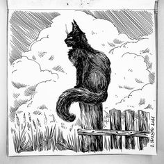 Ink Drawing Cat On A Fence, Cat For Halloween, Black Pen Drawing, Cat On The Moon, Black Cat Drawing, Draw A Cat, Cat Pen, Black Drawing, Ink Pen Art