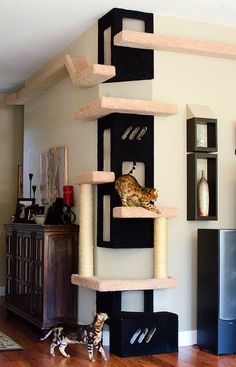 a cat sitting on top of a scratching tower