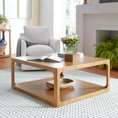 a living room with a couch, coffee table and potted plant