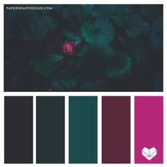 the color palette is dark green, pink and purple