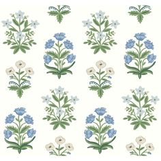 blue and white flowers are arranged in rows on a white background, with green leaves