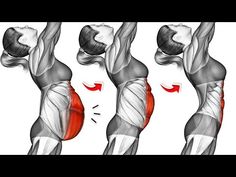 the muscles are shown in three different positions