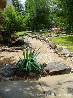 a garden with rocks and plants on the side of the road in front of a house