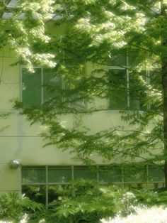 a building with lots of windows and trees in front of it on a sunny day