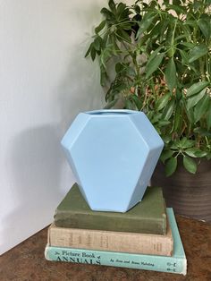 a blue vase sitting on top of two books next to a potted green plant