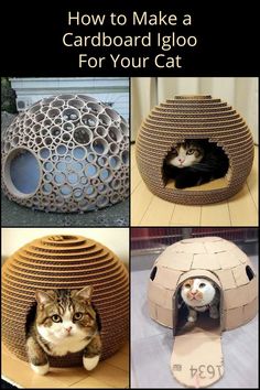 four different pictures with cats in their houses and the words how to make a cardboard igloo for your cat