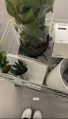 a shopping cart with some plants in it and someone's shoes on the ground