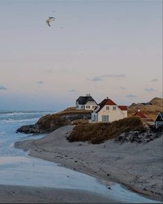 a bird flying over some houses on the beach