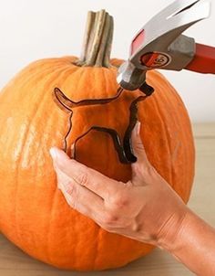 someone is cutting into a pumpkin with a pair of scissors