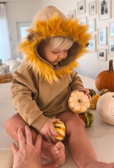 a young child in a lion costume sitting on a counter with pumpkins and gourds