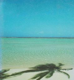 a palm tree casts a shadow on the white sand and blue water at an ocean beach