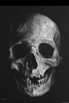 a black and white photo of a human skull