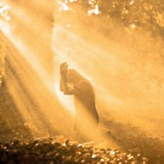 a person standing in the middle of a forest with their hands up and sunlight streaming through them