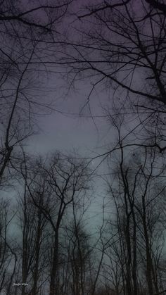 the sky is filled with dark clouds and bare trees