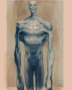 an image of a man with muscles drawn on it