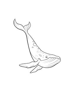 a drawing of a whale that is swimming in the water with it's mouth open