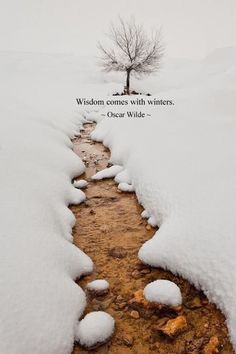 Winter Poems, A Meme, Literature Quotes, Snowy Day