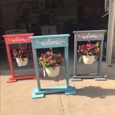 three different colored flower pots with flowers in them