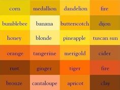 an orange and yellow color scheme with different words