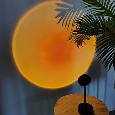 a table with a plant on it in front of a wall mounted round light fixture