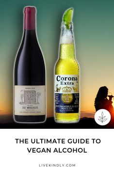 the ultimate guide to vegan alcohol