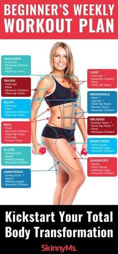 the anatomy of a woman's body and her major muscles, including the main parts