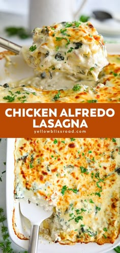 chicken alfredo lasagna in a white casserole dish with a serving spoon