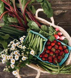 strawberries, radishes, daisies and other vegetables in a basket on a wooden table