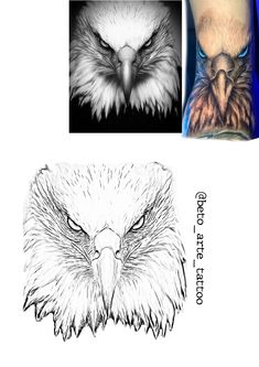 an eagle tattoo design is shown in three different colors and styles, including the bald eagle's head