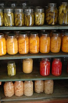 66 Self Sufficiency Survival Books About by HowToBooks on Etsy, $4.97 Canned Food Storage, Long Term Food Storage, Fermented Vegetables, Home Canning, Emergency Food, Pressure Canning, Survival Food, Food Supply, Fermented Foods