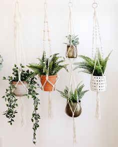 Your Favorite Macrame Plant Hangers - Lone Fox Macrame Plant Hanger Sunroom, Plant Hanger Driftwood, Hanging Plants Above Bed Bohemian, Hanging Desk Plant, Macroma Plant Hanger, Hanging Bedroom Plant Shelf, Trailing Plant Wall Hanger, Hanging Plant By Bed, Macrame Plant Hanger With Light