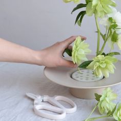 a person is cutting flowers with scissors