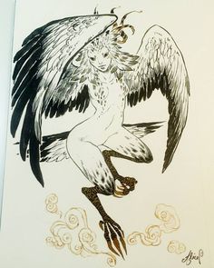 an ink drawing of a bird with wings spread