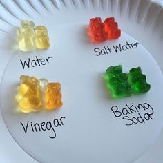 four gummy bears sitting on top of a paper plate with words written below them