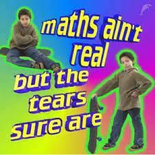 two young boys with skateboards and the words maths aren't real but the tears sure are