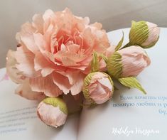 a pink flower sitting on top of an open book with writing in russian and english