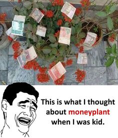 a plant with money on it next to a sign that says, this is what i thought about moneyplant when i was kid