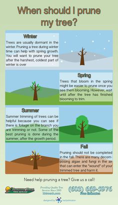 an info sheet describing the different types of trees and how they are used to grow them